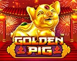 Golden Pig